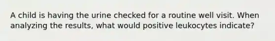 A child is having the urine checked for a routine well visit. When analyzing the results, what would positive leukocytes indicate?