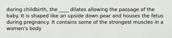 during childbirth, the ____ dilates allowing the passage of the baby. It is shaped like an upside down pear and houses the fetus during pregnancy. It contains some of the strongest muscles in a women's body