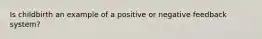 Is childbirth an example of a positive or negative feedback system?