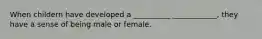 When childern have developed a __________ ____________, they have a sense of being male or female.