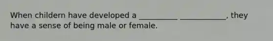 When childern have developed a __________ ____________, they have a sense of being male or female.