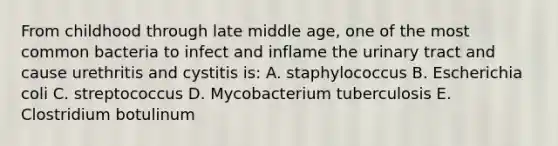 From childhood through late middle age, one of the most common bacteria to infect and inflame the urinary tract and cause urethritis and cystitis is: A. staphylococcus B. Escherichia coli C. streptococcus D. Mycobacterium tuberculosis E. Clostridium botulinum