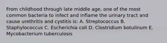 From childhood through late middle age, one of the most common bacteria to infect and inflame the urinary tract and cause urethritis and cystitis is: A. Streptococcus B. Staphylococcus C. Escherichia coli D. Clostridium botulinum E. Mycobacterium tuberculosis