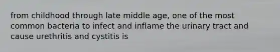 from childhood through late middle age, one of the most common bacteria to infect and inflame the urinary tract and cause urethritis and cystitis is