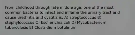 From childhood through late middle age, one of the most common bacteria to infect and inflame the urinary tract and cause urethritis and cystitis is: A) streptococcus B) staphylococcus C) Escherichia coli D) Mycobacterium tuberculosis E) Clostridium botulinum