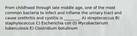 From childhood through late middle age, one of the most common bacteria to infect and inflame the urinary tract and cause urethritis and cystitis is ________. A) streptococcus B) staphylococcus C) Escherichia coli D) Mycobacterium tuberculosis E) Clostridium botulinum