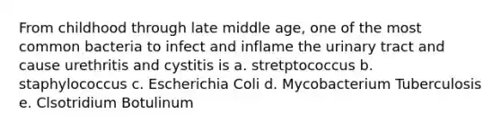 From childhood through late middle age, one of the most common bacteria to infect and inflame the urinary tract and cause urethritis and cystitis is a. stretptococcus b. staphylococcus c. Escherichia Coli d. Mycobacterium Tuberculosis e. Clsotridium Botulinum