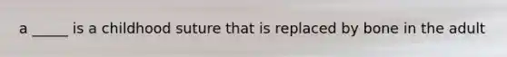 a _____ is a childhood suture that is replaced by bone in the adult