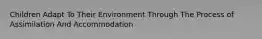 Children Adapt To Their Environment Through The Process of Assimilation And Accommodation