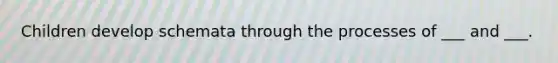 Children develop schemata through the processes of ___ and ___.