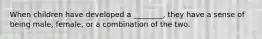 When children have developed a ________, they have a sense of being male, female, or a combination of the two.