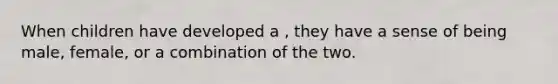 When children have developed a , they have a sense of being male, female, or a combination of the two.