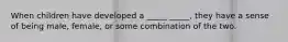 When children have developed a _____ _____, they have a sense of being male, female, or some combination of the two.