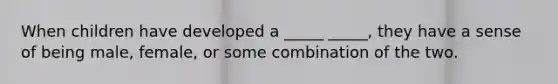When children have developed a _____ _____, they have a sense of being male, female, or some combination of the two.