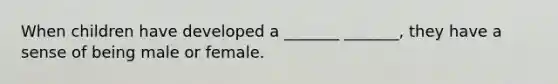 When children have developed a _______ _______, they have a sense of being male or female.