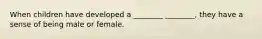 When children have developed a ________ ________, they have a sense of being male or female.