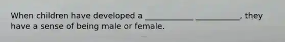 When children have developed a ____________ ___________, they have a sense of being male or female.