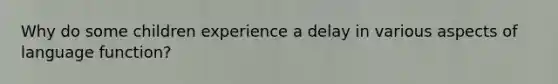 Why do some children experience a delay in various aspects of language function?