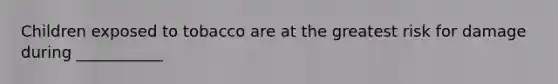 Children exposed to tobacco are at the greatest risk for damage during ___________