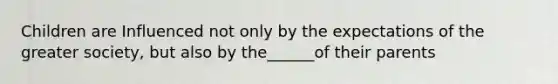Children are Influenced not only by the expectations of the greater society, but also by the______of their parents