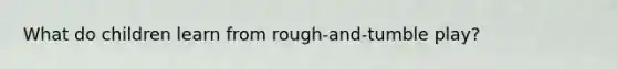 What do children learn from rough-and-tumble play?