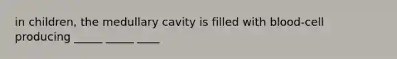 in children, the medullary cavity is filled with blood-cell producing _____ _____ ____