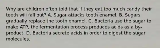 Why are children often told that if they eat too much candy their teeth will fall out? A. Sugar attacks tooth enamel. B. Sugars gradually replace the tooth enamel. C. Bacteria use the sugar to make ATP, the fermentation process produces acids as a by-product. D. Bacteria secrete acids in order to digest the sugar molecules.