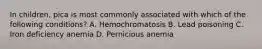 In children, pica is most commonly associated with which of the following conditions? A. Hemochromatosis B. Lead poisoning C. Iron deficiency anemia D. Pernicious anemia