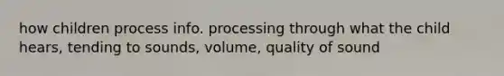 how children process info. processing through what the child hears, tending to sounds, volume, quality of sound