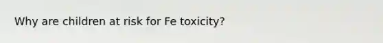 Why are children at risk for Fe toxicity?