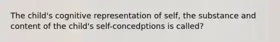 The child's cognitive representation of self, the substance and content of the child's self-concedptions is called?