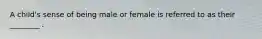 A child's sense of being male or female is referred to as their ________ .