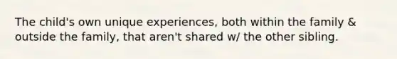 The child's own unique experiences, both within the family & outside the family, that aren't shared w/ the other sibling.