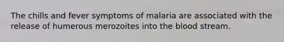 The chills and fever symptoms of malaria are associated with the release of humerous merozoites into the blood stream.