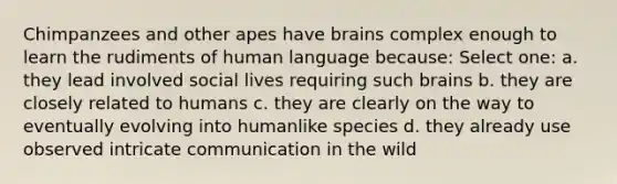 Chimpanzees and other apes have brains complex enough to learn the rudiments of human language because: Select one: a. they lead involved social lives requiring such brains b. they are closely related to humans c. they are clearly on the way to eventually evolving into humanlike species d. they already use observed intricate communication in the wild