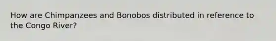 How are Chimpanzees and Bonobos distributed in reference to the Congo River?