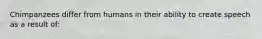 Chimpanzees differ from humans in their ability to create speech as a result of: