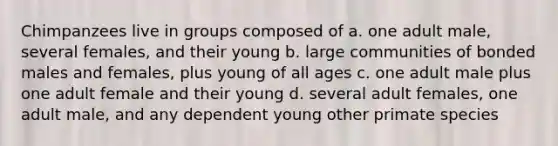 Chimpanzees live in groups composed of a. one adult male, several females, and their young b. large communities of bonded males and females, plus young of all ages c. one adult male plus one adult female and their young d. several adult females, one adult male, and any dependent young other primate species