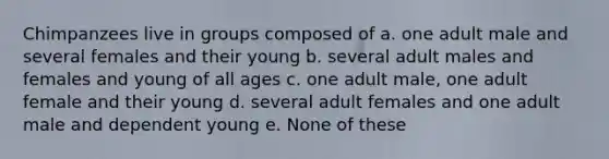 Chimpanzees live in groups composed of a. one adult male and several females and their young b. several adult males and females and young of all ages c. one adult male, one adult female and their young d. several adult females and one adult male and dependent young e. None of these