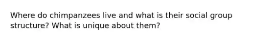 Where do chimpanzees live and what is their social group structure? What is unique about them?