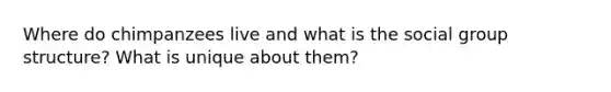 Where do chimpanzees live and what is the social group structure? What is unique about them?