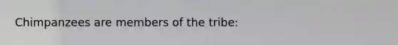Chimpanzees are members of the tribe:
