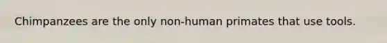 Chimpanzees are the only non-human primates that use tools.