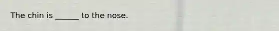 The chin is ______ to the nose.