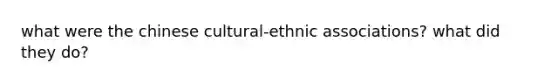 what were the chinese cultural-ethnic associations? what did they do?