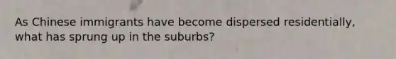 As Chinese immigrants have become dispersed residentially, what has sprung up in the suburbs?