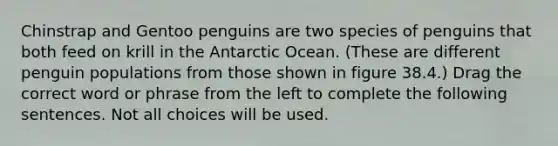 Chinstrap and Gentoo penguins are two species of penguins that both feed on krill in the Antarctic Ocean. (These are different penguin populations from those shown in figure 38.4.) Drag the correct word or phrase from the left to complete the following sentences. Not all choices will be used.