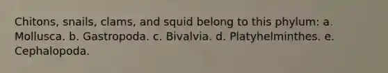 Chitons, snails, clams, and squid belong to this phylum: a. Mollusca. b. Gastropoda. c. Bivalvia. d. Platyhelminthes. e. Cephalopoda.