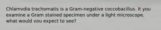 Chlamvdia trachomatis is a Gram-negative coccobacillus. It you examine a Gram stained specimen under a light microscope. what would vou expect to see?