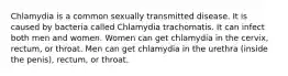 Chlamydia is a common sexually transmitted disease. It is caused by bacteria called Chlamydia trachomatis. It can infect both men and women. Women can get chlamydia in the cervix, rectum, or throat. Men can get chlamydia in the urethra (inside the penis), rectum, or throat.